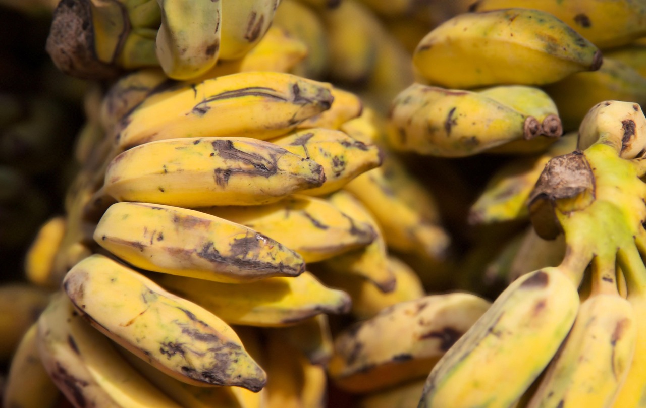 Banane mature in un cestino, pronte per essere consumate quotidianamente.